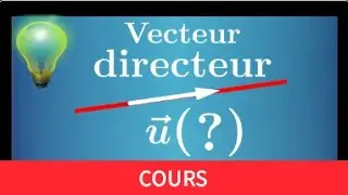 Comment trouver un vecteur directeur d'une droite du plan • Les quatre techniques • Seconde Maths