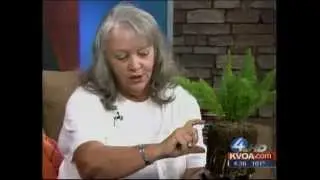 Summer Heat Help 06.07.12.wmv