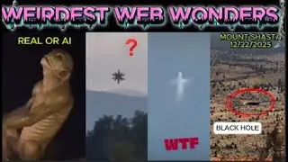 weirdest web wonders vol 5