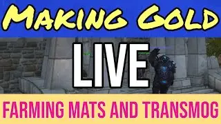 Gold Making World Of Warcraft Gameplay Material And Transmog Farming WOW Time Live Stream