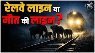 Assam Elephant Incident Explained | Wildlife Safety and Awareness