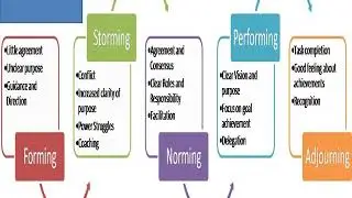 MCQ on Organization Behavior