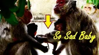 Oh God Heidi Is Dragged By Newborn Mom While She got Sickness, Got A Cold So Sad