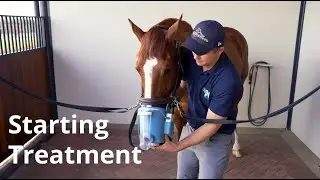Starting Treatment | Flexineb® E3