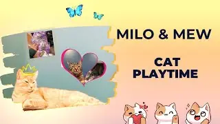 Cat Playtime w/ Milo & MewMew | New Cat Lures Toys | 🐙🐦🐝 