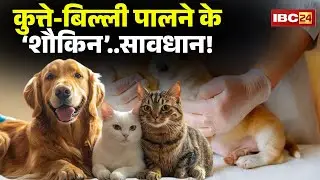 Nagar Nigam Gwalior: नई गाइडलाइन..कुत्ते-बिल्ली पालना नहीं आसान। रजिस्ट्रेशन के लिए देने होंगे 300रु
