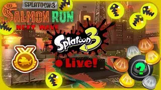 SALMON RUN EGGSTRA WORK | Splat Dave