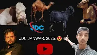 JDC JANWAR 2025.....😍