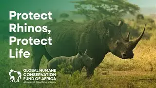 Saving Africa&rsquo;s Rhinos with AI, Relocation & Conservation Action