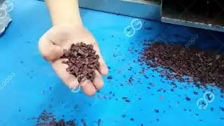 Commercial Cocoa Bean Peeler Peeling #cocoa  Bean #winnowing  Machine