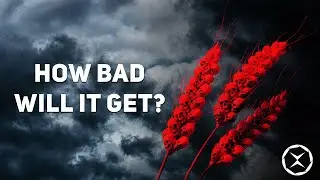 The Global Food Shortage the UN warns about is coming in 2023