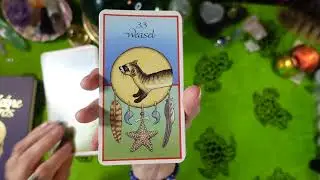 MEDICINE CARDS -Review- FOR GUIDANCE, INSPIRATION AND HELP IN FINDING ANSWERS TO LIFE'S QUESTIONS
