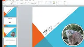 Change Slide Order - MS PowerPoint 2010 Tutorial