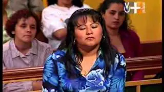 La Corte del Pueblo - Animales Ilegales