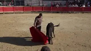 jubilé de cédric miralles 02 l'integrale