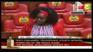 Parliament Amends Integrity Bill