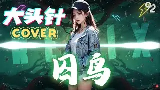 囚鸟 - 大头针⚡DJREMIX 2026⚡『 我像是一个你可有可无的影子，冷冷的看着你说谎的样子。』抖音TIKTOK｜精选混音DJ｜♪ 动态歌词 4K