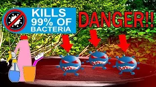 PREVENT BIRD FLU!! Use soap and water regularly 🐦+🦠=☠️