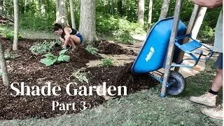 Woodland Garden Transformation || Cardboard Weed Barrier, Natural Mulch, Shade Gardening Part 3