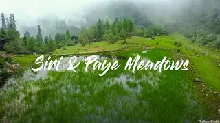Siri & Paye Meadows 4K l The Drone Life PK