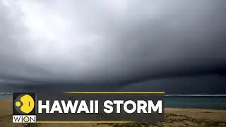 High winds & rain continue to hit Hawaii | WION Climate Tracker | Latest English News |