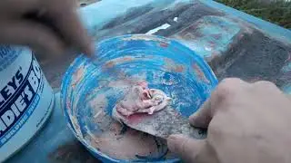Building Filler DIY tutorial for shipping container