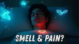 Can You Really Smell, Taste, and Feel Pain in Dreams? The Hidden Truth of Sensory Dreaming