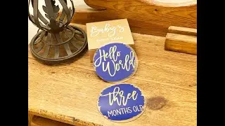 DIY Baby Milestone Discs