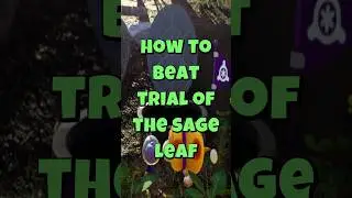 How to BEAT TRIAL OF THE SAGE LEAF in Pikmin 4 - THE 1ST STORY