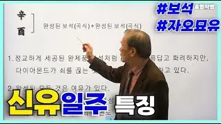 [고급] 109강 - 신유(辛酉)일주 특징