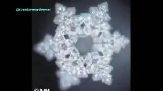 Dr. Emoto - The Miracle of Water