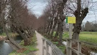 # 287 Водяная мельница.Вассен.Нидерланды/Watermolen.Vaassen.Nederland