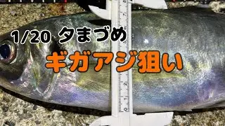 1/20爆風の中ギガアジ狙う