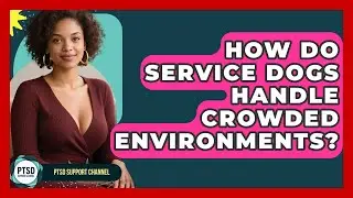 How Do Service Dogs Handle Crowded Environments? - PTSD Support Channel
