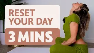 Reset Your Day in 3 Minutes | Spinal Flex, Twist Pose + Shoulder Shrugs