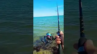 first cast of 2026 hidden location Corpus Christi Texas#fishing #southtexas