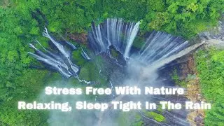 Sweet Night Healing Sleep Instantly In The Rain With Beautiful Nature Relaxing Sentimental Music