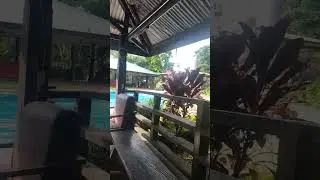 Balay Indang #music #travel #justforfun