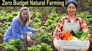 Natural Farming - How to Start Business Zero Budget Natural Farming
