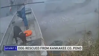 Kankakee County Sheriff's deputy, local residents team up to save dog from icy pond