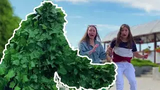 Bushman Prank #2 Crazy Reactions Funniest Moments Scare Cam Смешные испуги 2021 Пранк Юмор