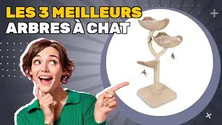 Les 3 meilleurs arbres &agrave; chat 2025: id&eacute;al pour ceux qui veulent efficacit&eacute; et &eacute;conomies