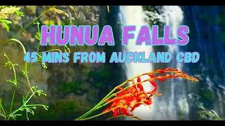Hunua Falls & Clevedon Strawberry Farm Pick Your Own Strawberries + Real Strawberry Ice Cream
