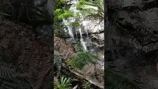 Waterfalls in Melbourne - CYATHEA falls