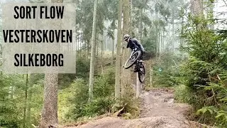 Kommende sort MTB-spor i Silkeborgs Vesterskov