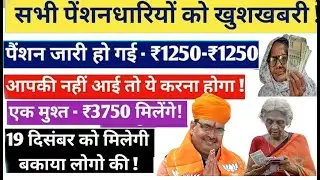 When will the Rajasthan Social Security Pension come? | When will the pension for November-Decemb...