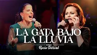 La Gata Bajo la Lluvia - LIVE