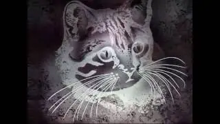 Vetreria Tomanin - I Vetri Sabbiati