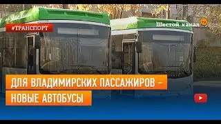 Для владимирских пассажиров - новые автобусы