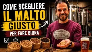 Come SCEGLIERE il Malto GIUSTO: CONFRONTO Tecnico tra tipi della Stessa Varietà 🍺